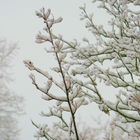 Wintereinbruch letzte Woche