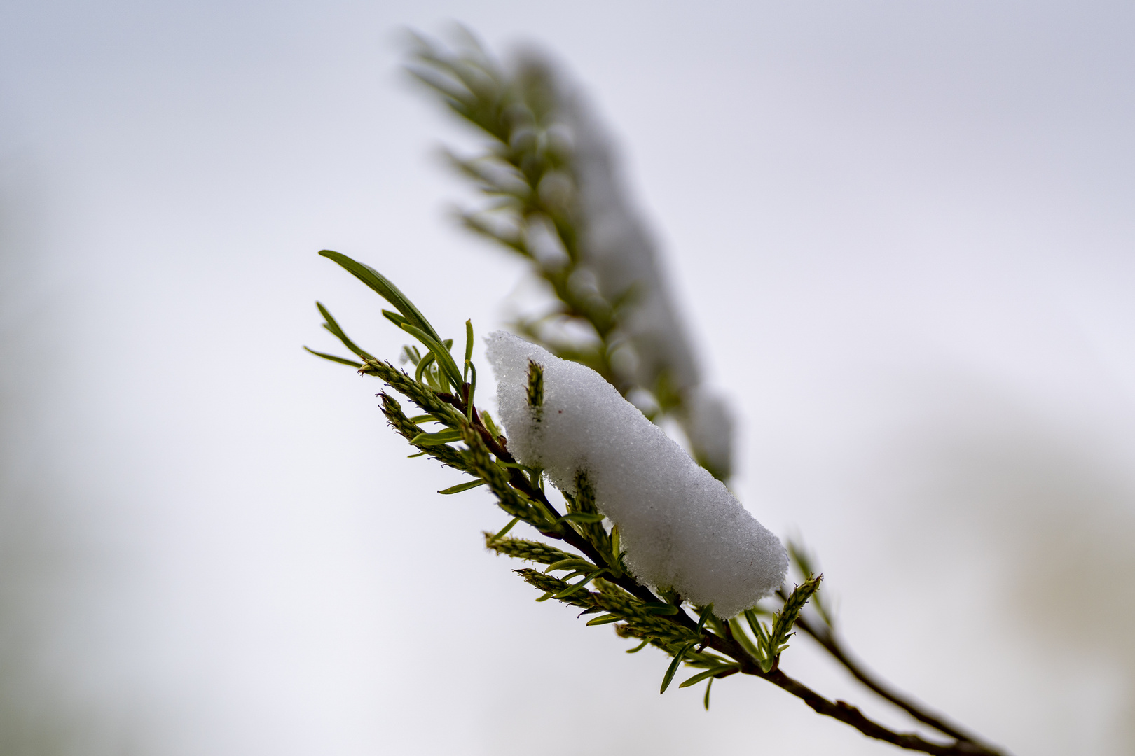 Wintereinbruch-Strukturen 