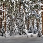 Wintereinbruch-Thüringer Wald.