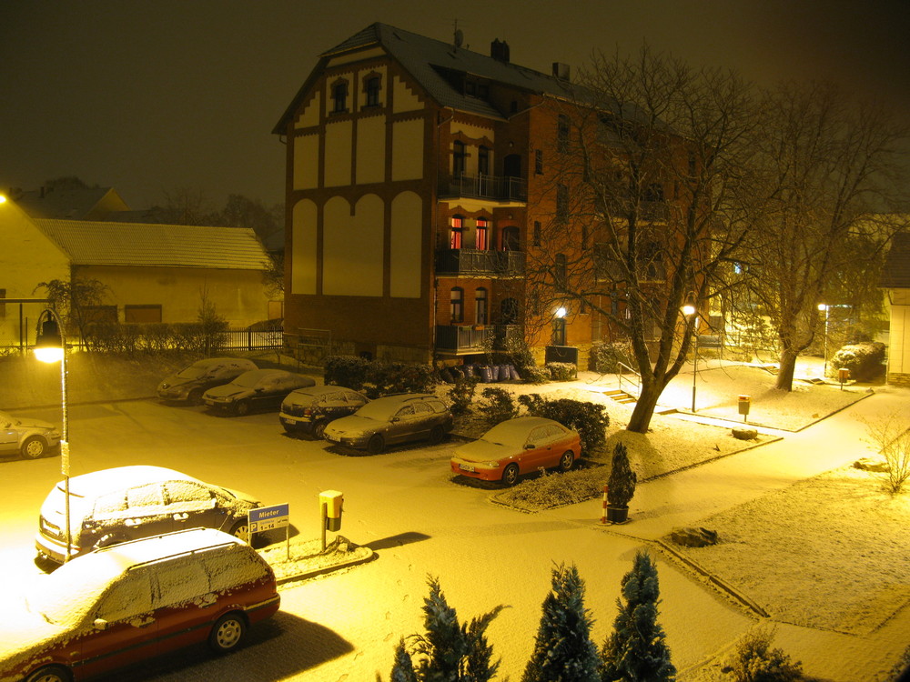 Wintereinbruch über Sangerhausen 1 (21.11.2008)