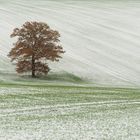 Wintereinbruch und die letzten Herbstfarben