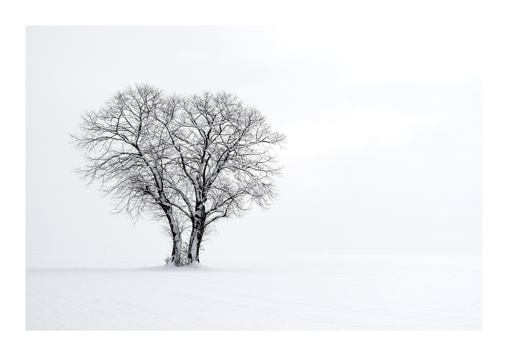 Wintereinbruch zu Ostern