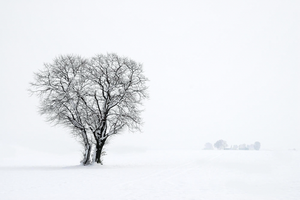 Wintereinbruch zu Ostern..