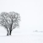 Wintereinbruch zu Ostern..