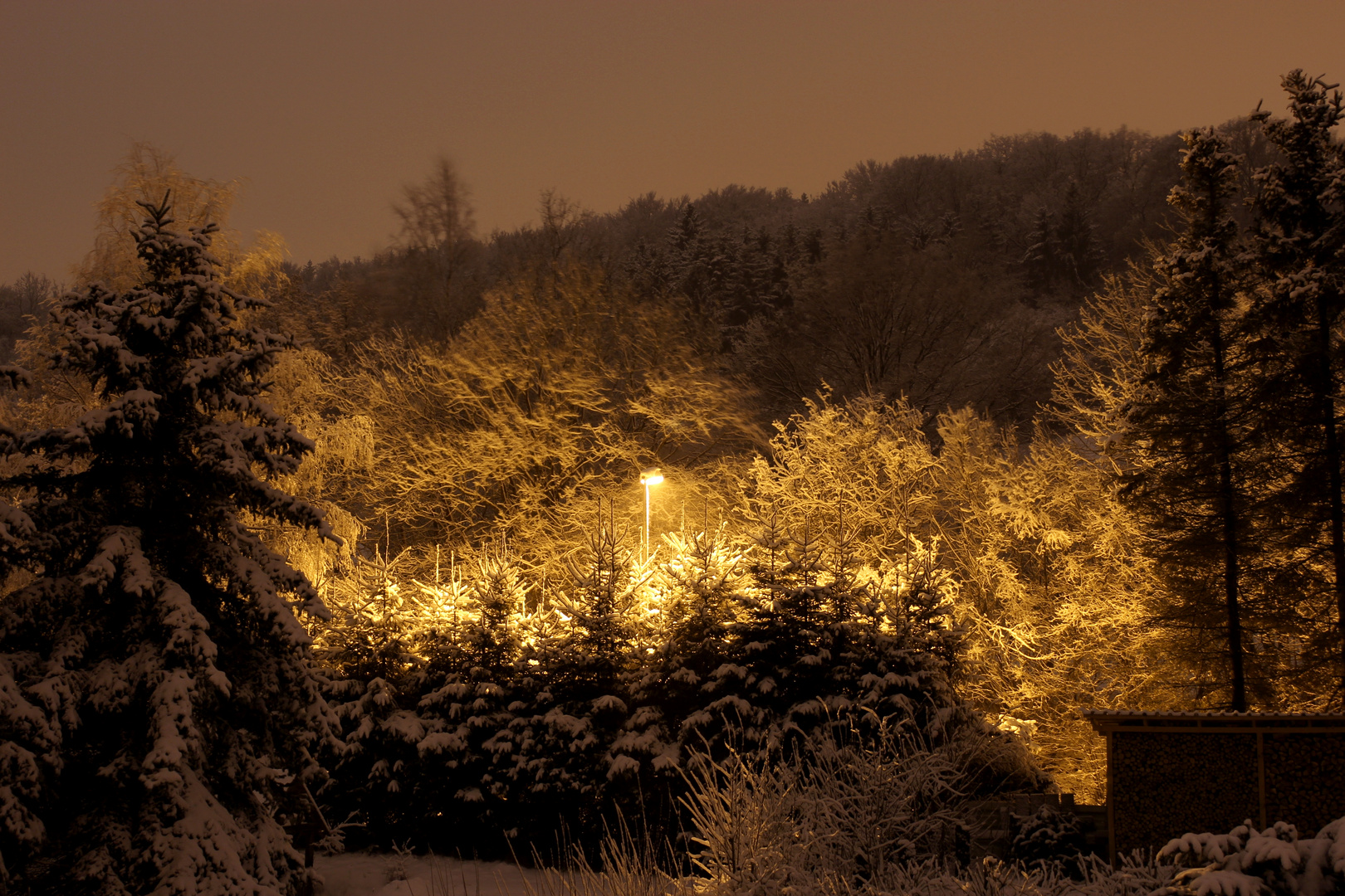 Wintereinbruch zum Frühlingsanfang