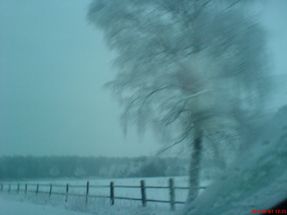 Wintereinbruch...ganz plötzlich