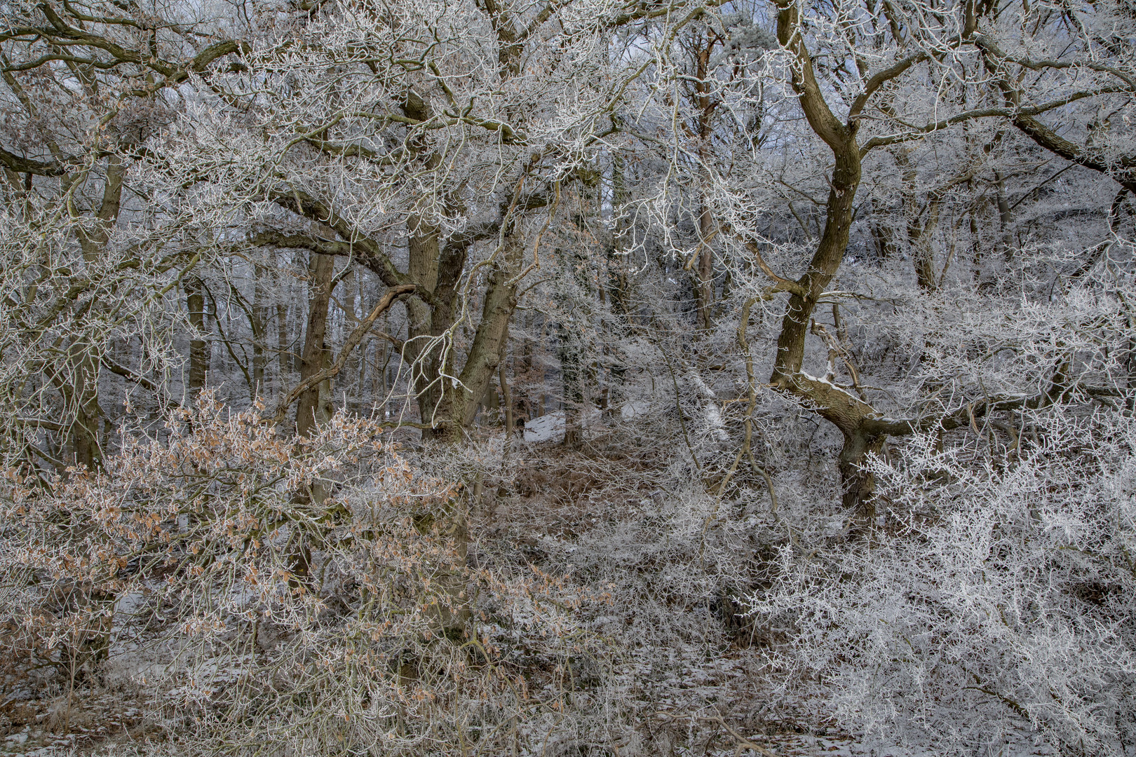 Wintereindrücke