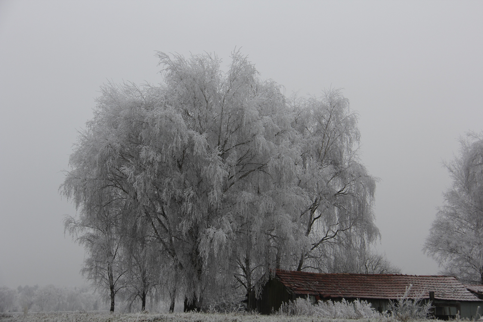 Wintereindrücke