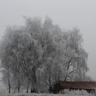 Wintereindrücke