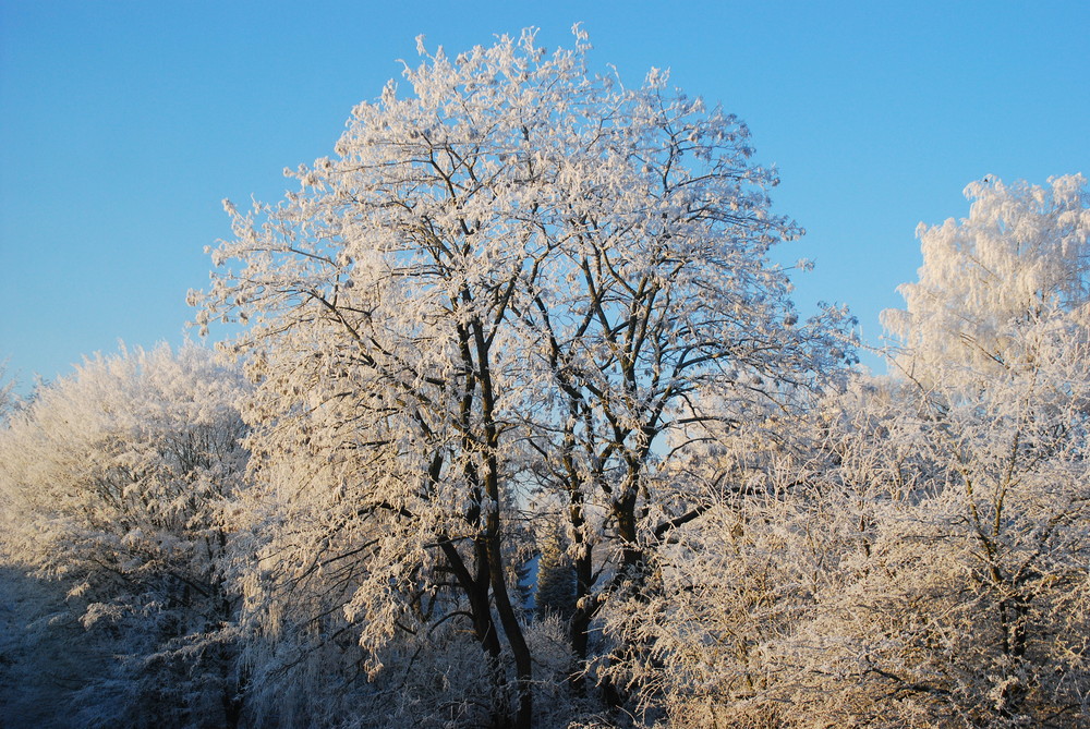 Wintereindrücke