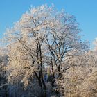 Wintereindrücke