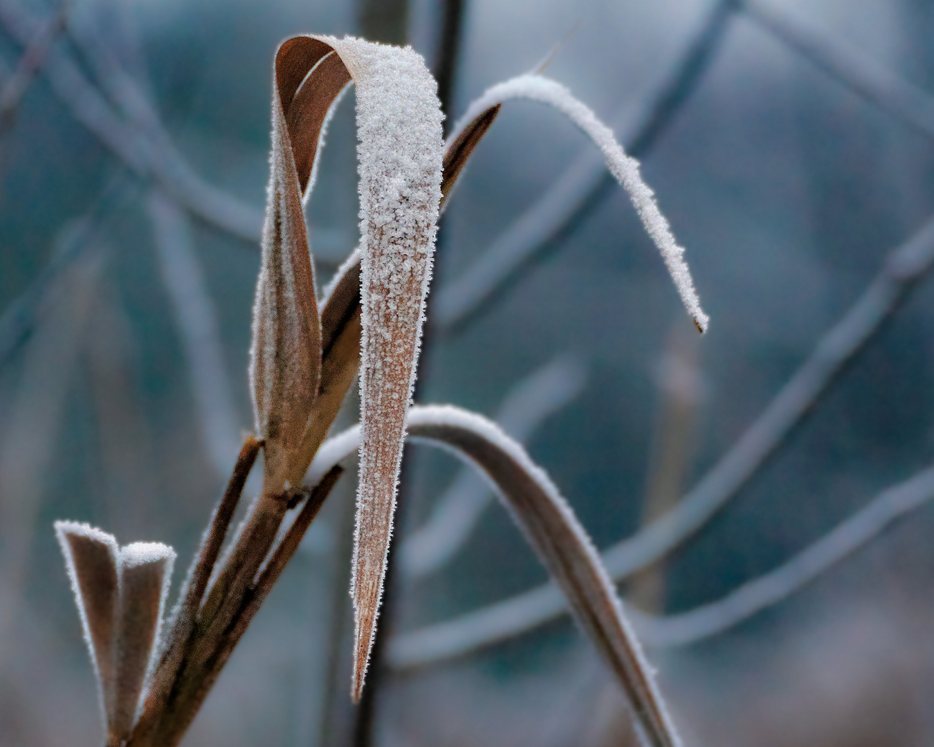 Wintereindrücke am Niederrhein 