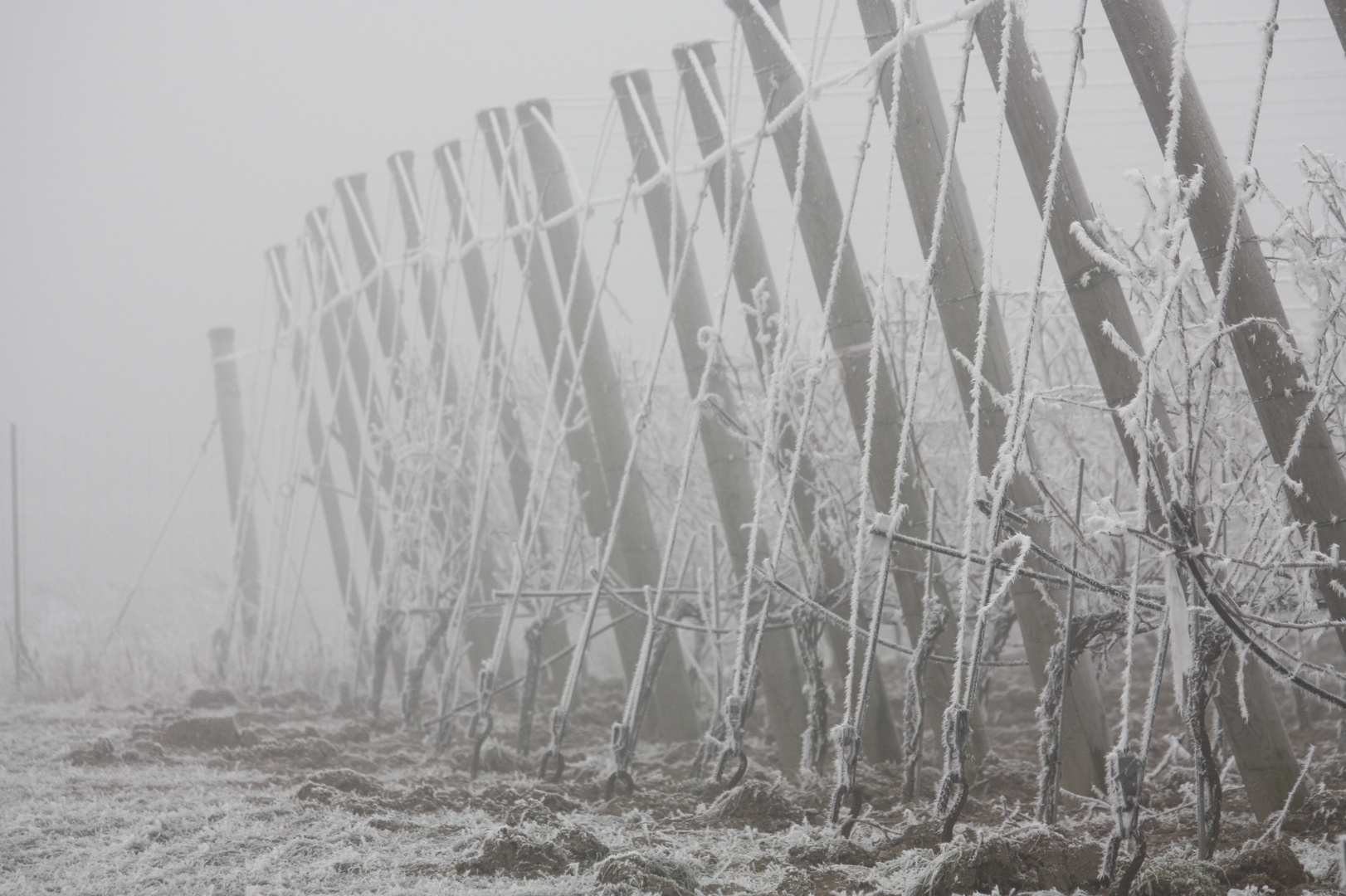 Wintereindrücke aus dem letzten Jahr 10