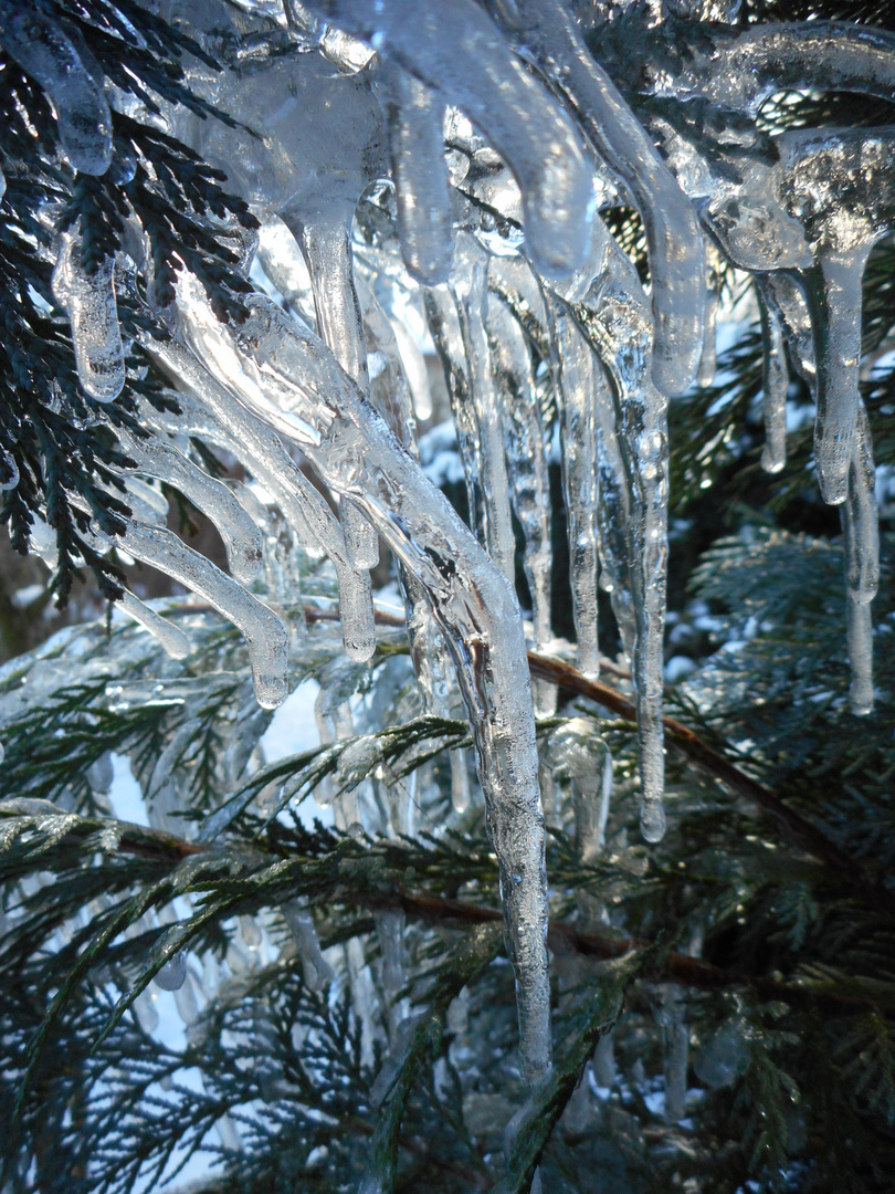 Wintereindrücke