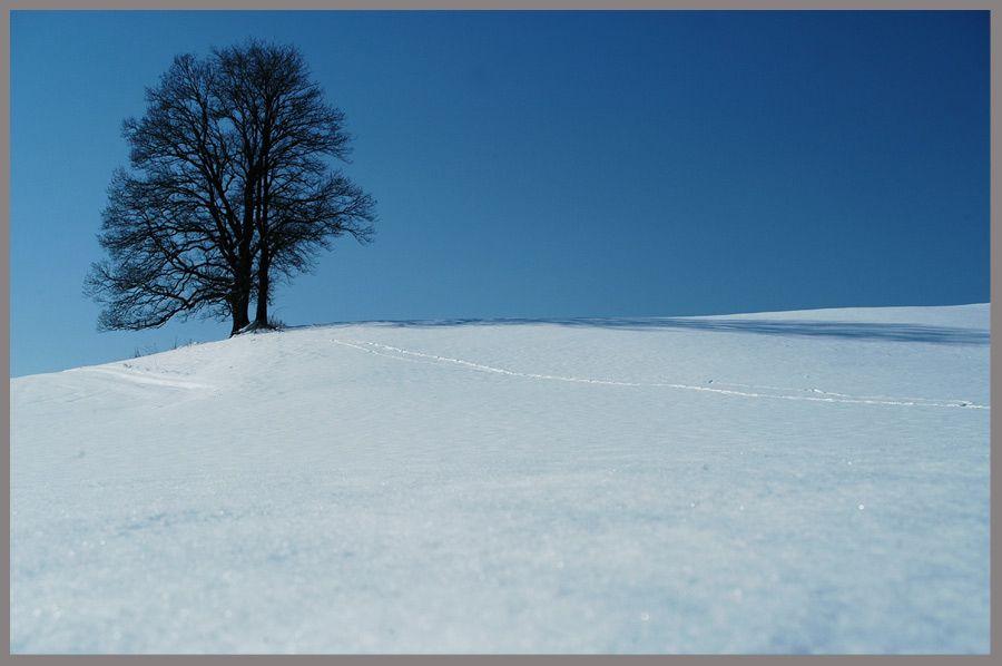 Wintereindrücke