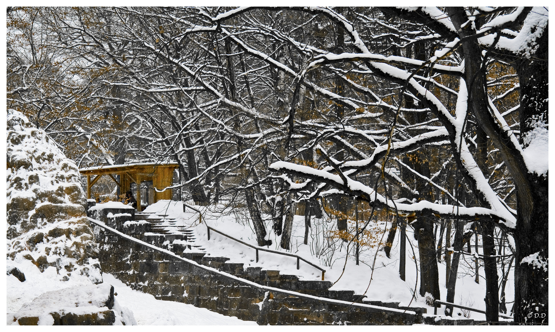 Wintereindrücke vom Tiergarten Nürnberg