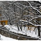 Wintereindrücke vom Tiergarten Nürnberg