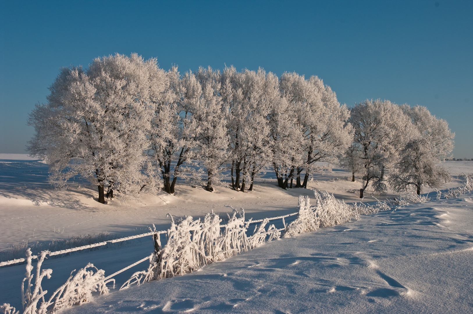 Wintereindrücke zweier Langlauftouren