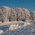 Wintereindrücke zweier Langlauftouren