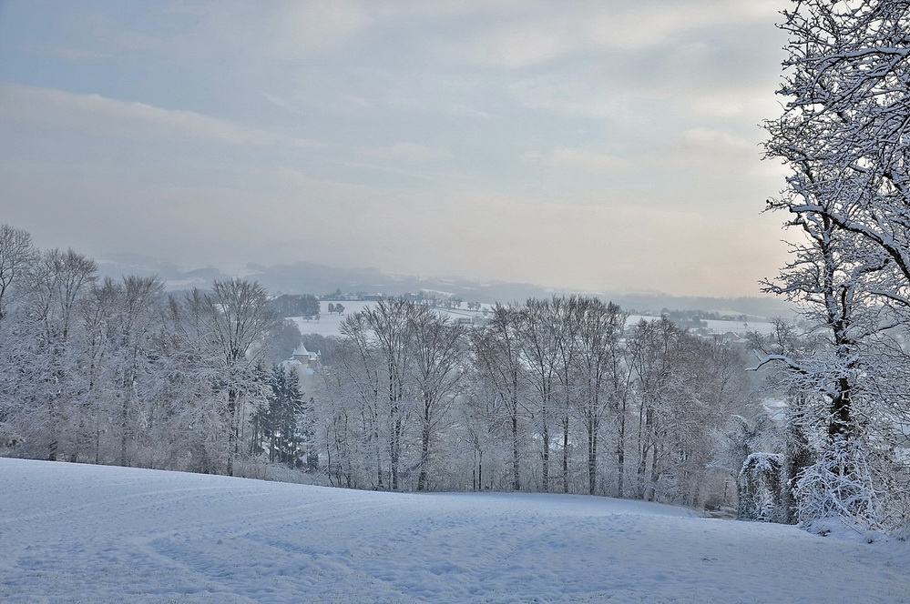 Wintereinrbuch im Mühlviertel