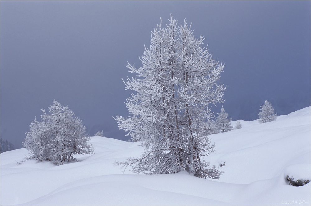 Wintereinsamkeit