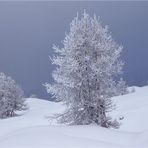 Wintereinsamkeit