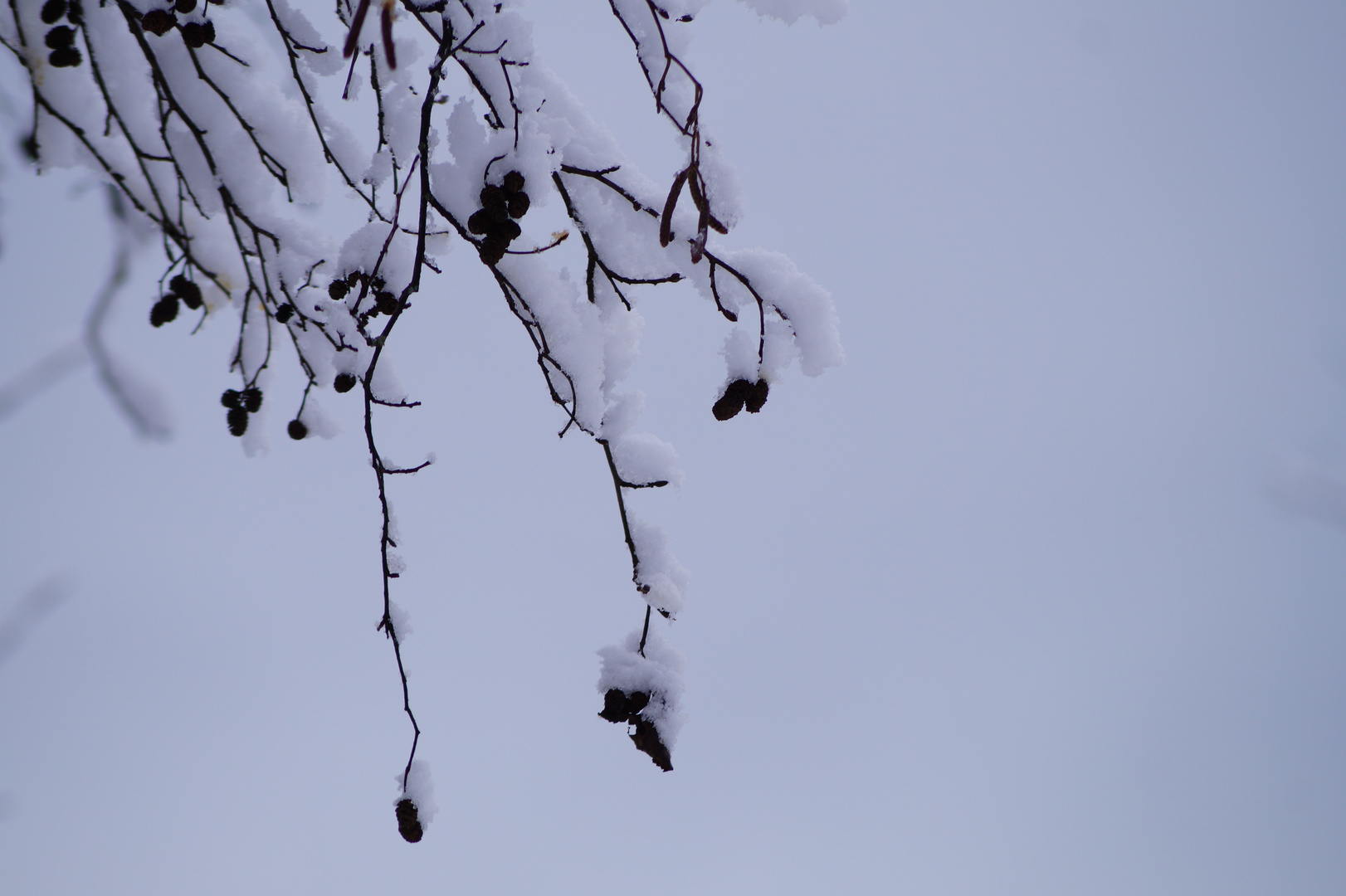 Wintereinsamkeit