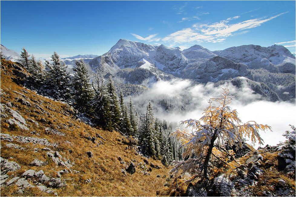 ~ Wintereinstand im Gebirge ~