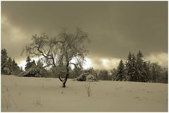 Wintereinzug auf dem Kahlen Asten