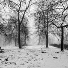 Wintereinzug auf dem Schlossberg