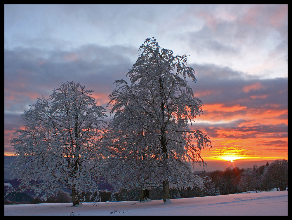 Wintereinzug