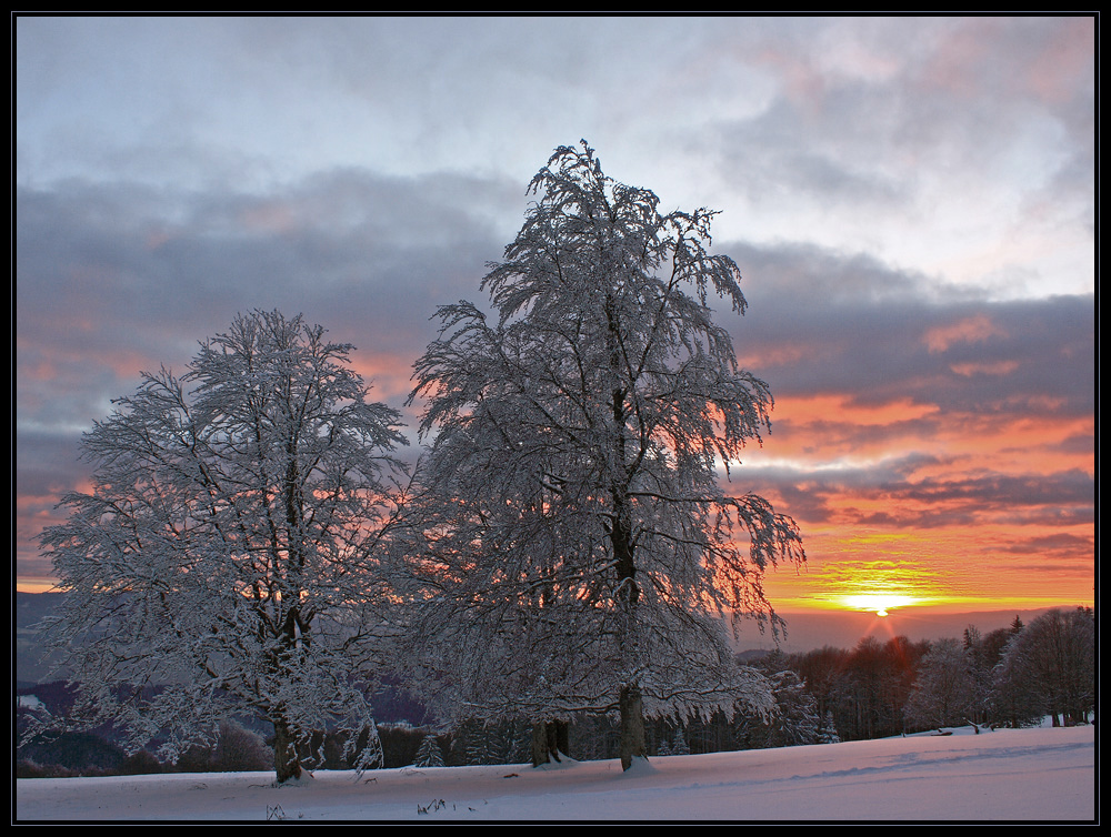 Wintereinzug