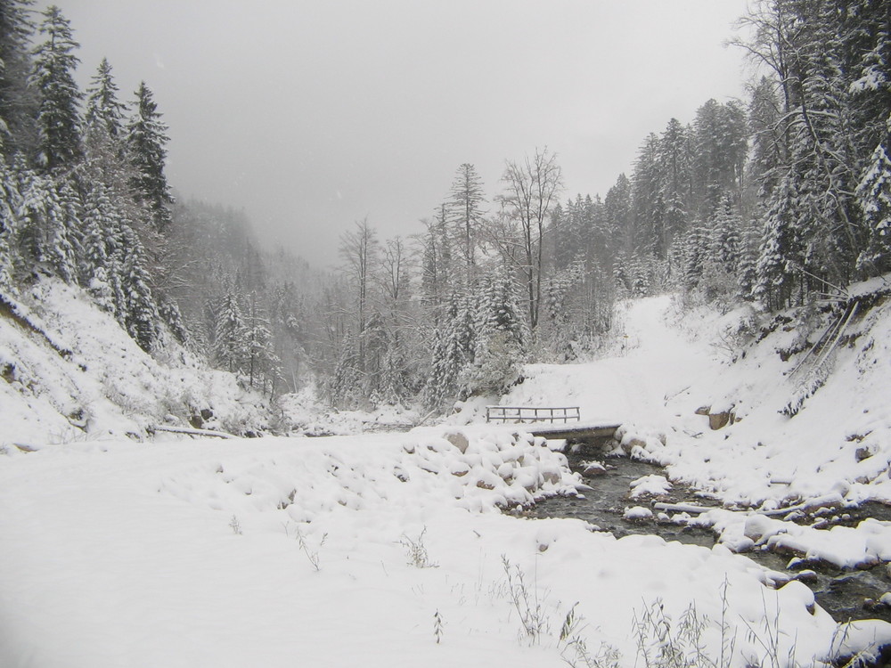 Wintereinzug in den Bergen #2