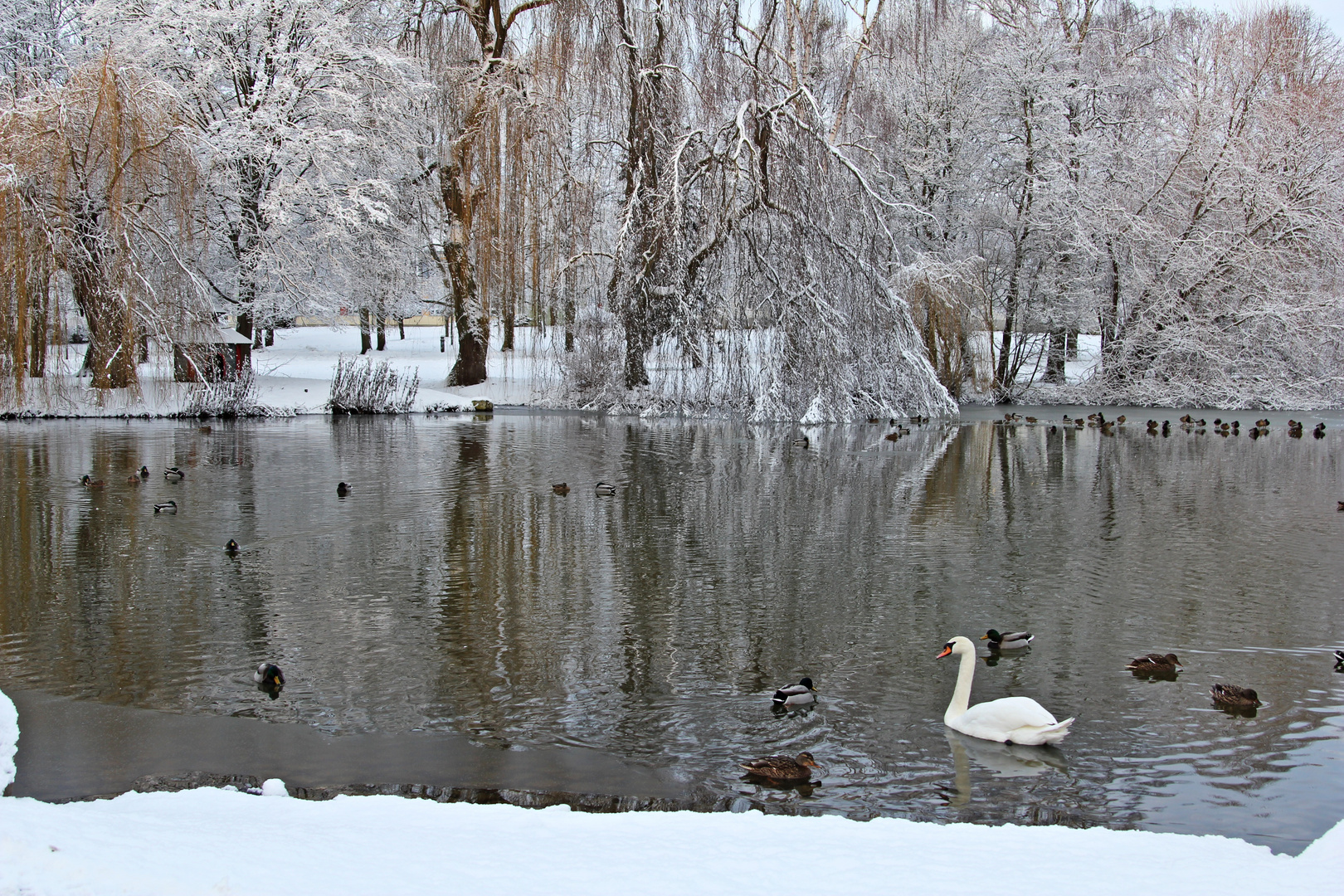 Wintereinzug in Teterow