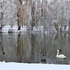 Wintereinzug in Teterow