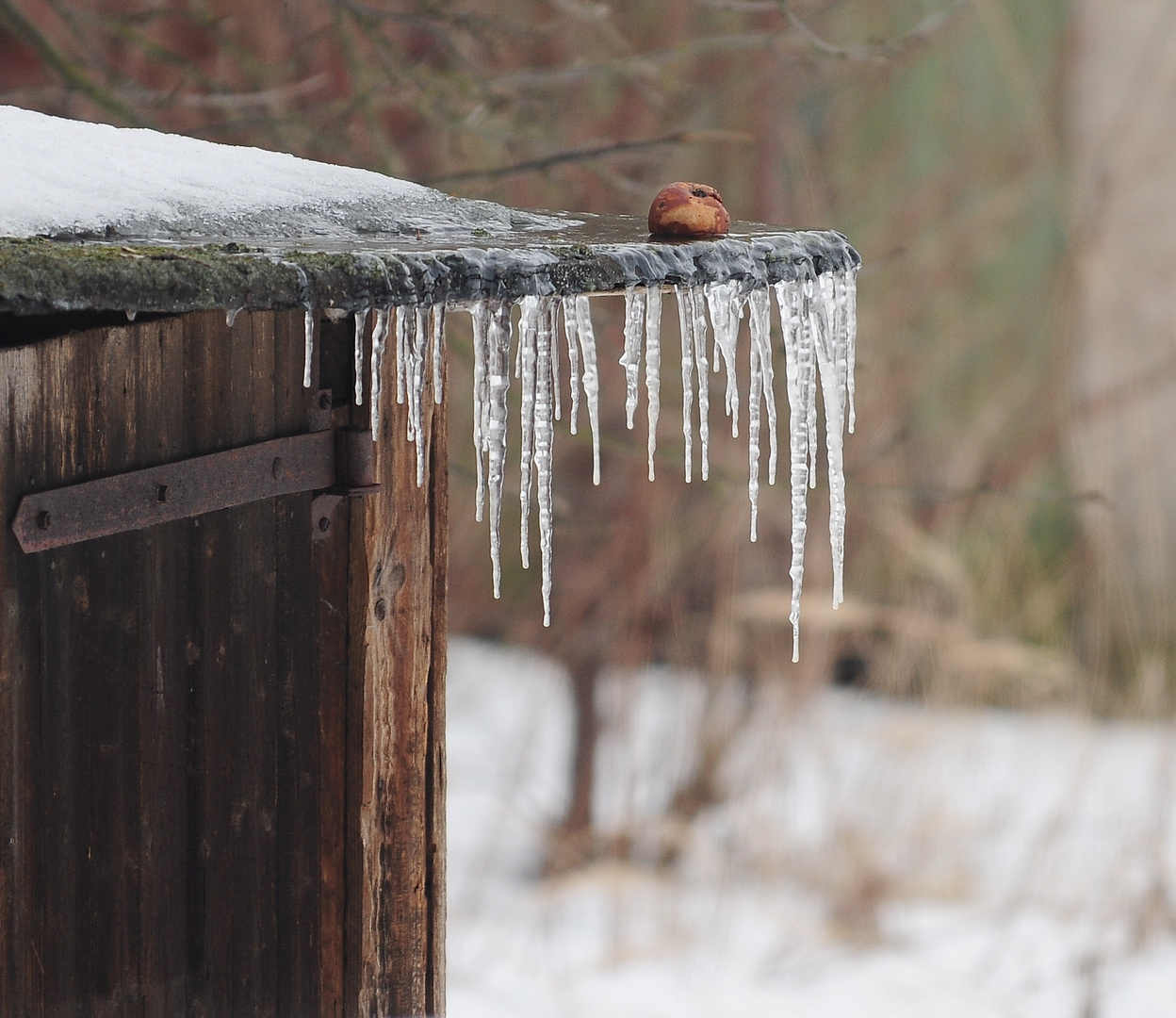 Winterende