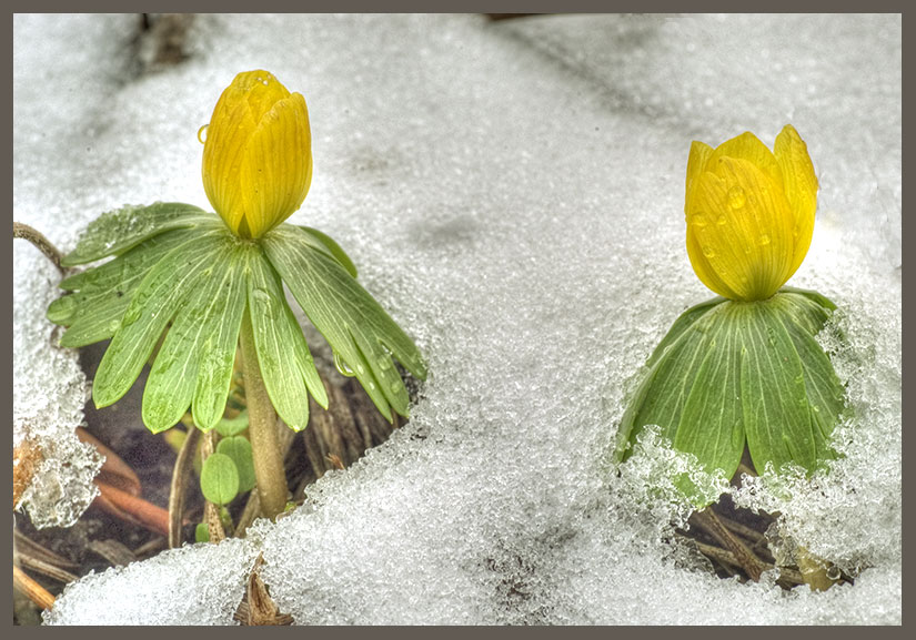 Winterende ist in Sicht