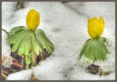 Winterende ist in Sicht