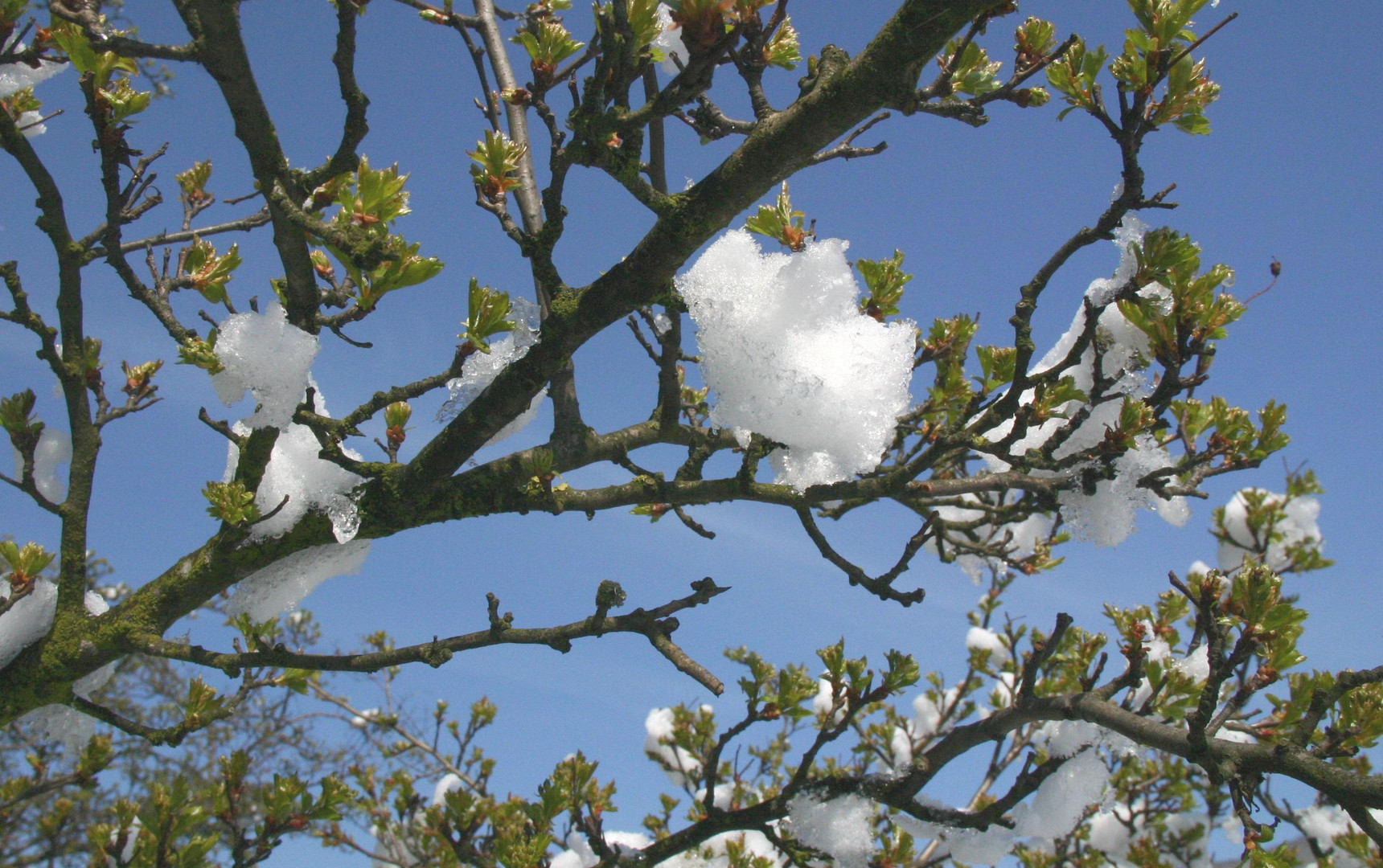 Winterende oder doch Frühlingsanfang ?