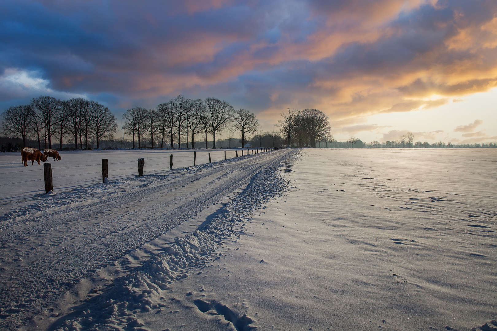 Winterepisode im Münsterland