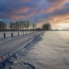 Winterepisode im Münsterland