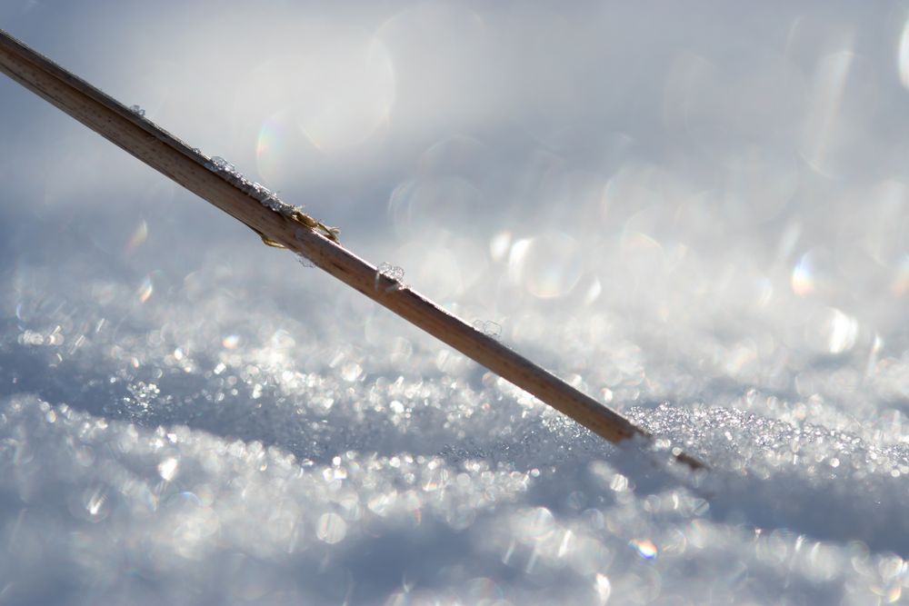 Wintererinnerung