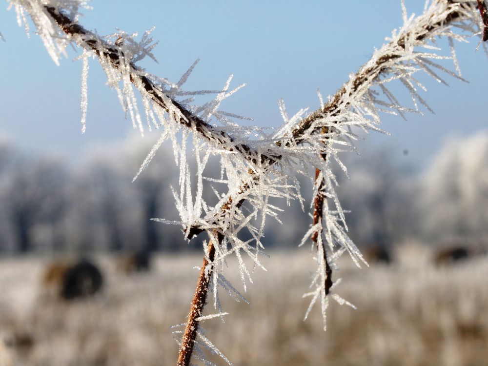 Wintererinnerung