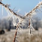 Wintererinnerung