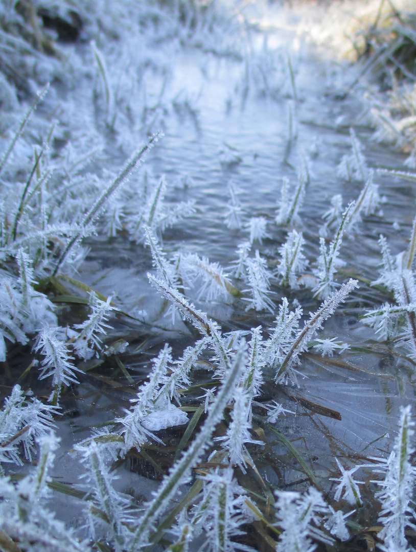 Wintererinnerung VI