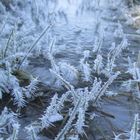 Wintererinnerung VI