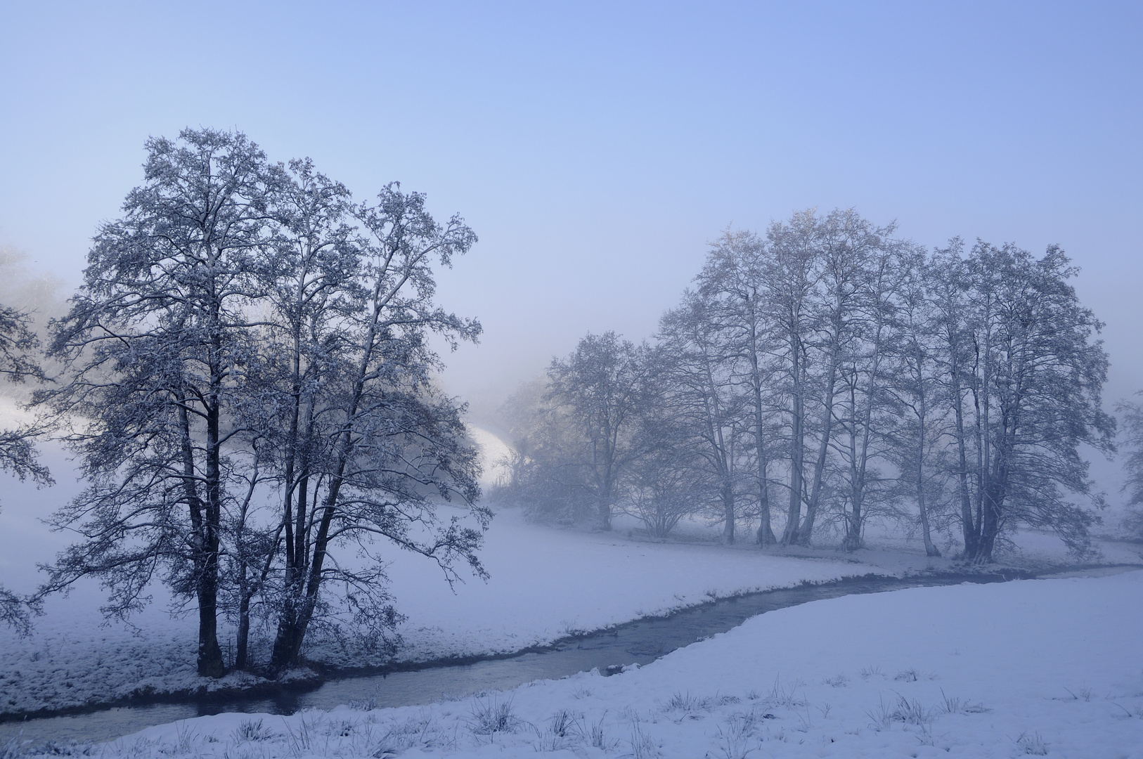 Wintererle im Autal