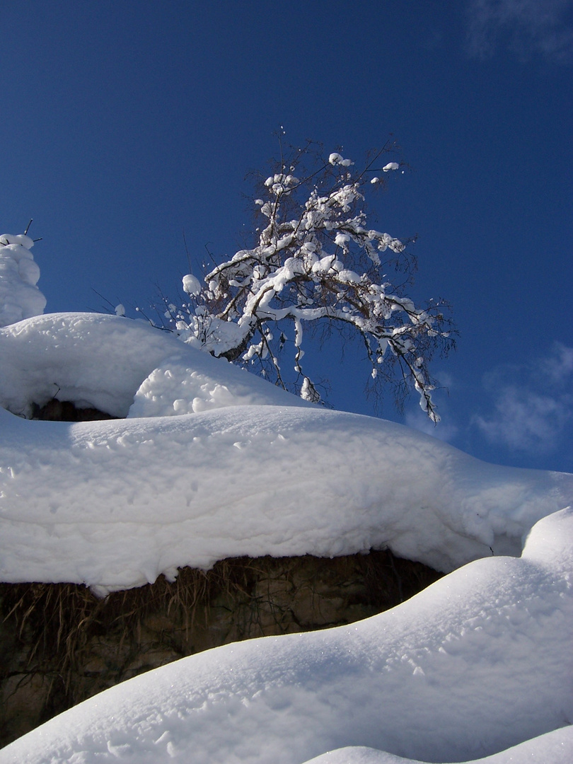 Winterewunderland