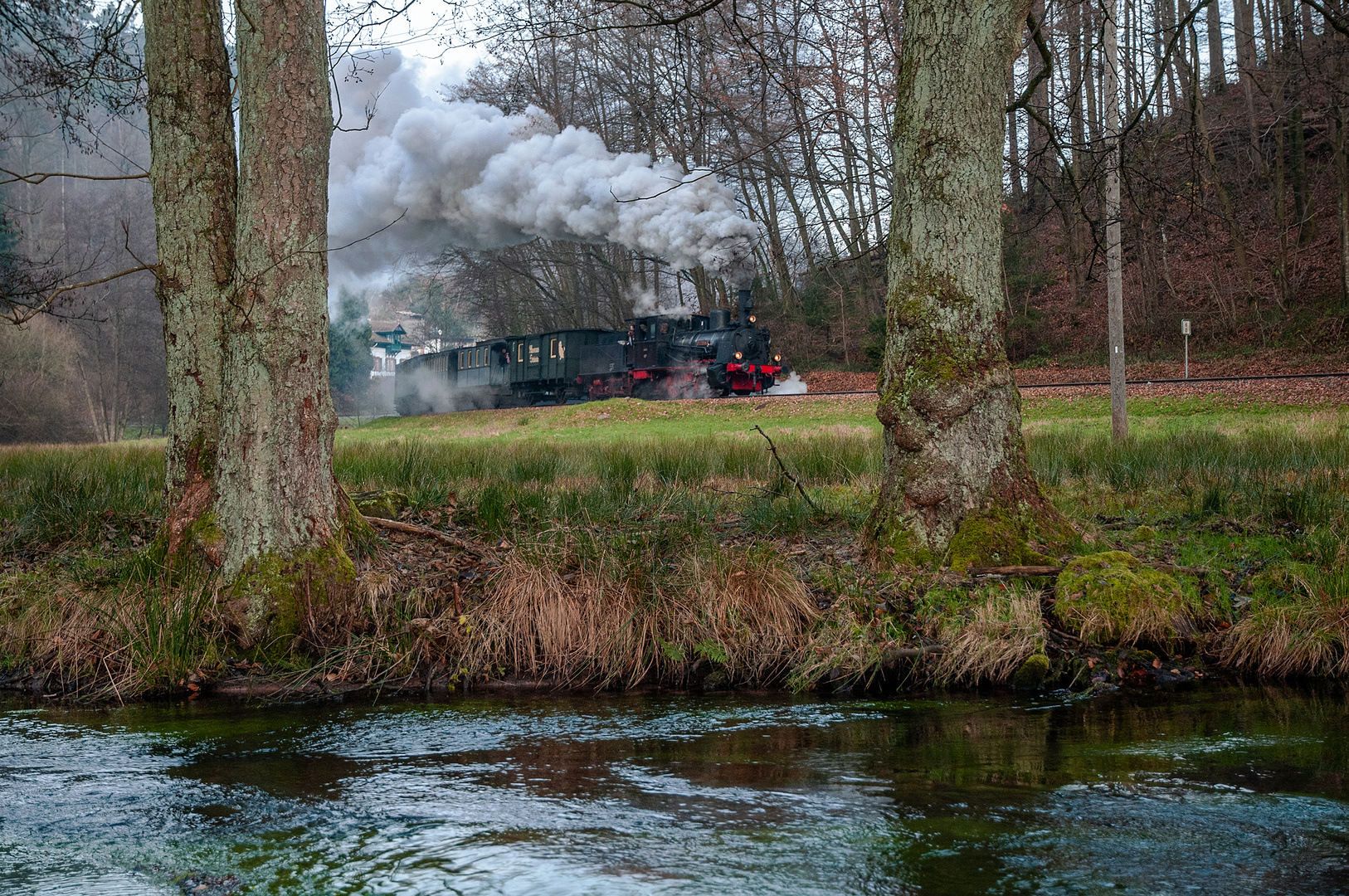 Winterfahrt auf dem Kuckucksbähnel