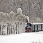 Winterfahrten der Döllnitzbahn mit dem Wilden Robert von Oschatz nach Mügeln im Februar 2013